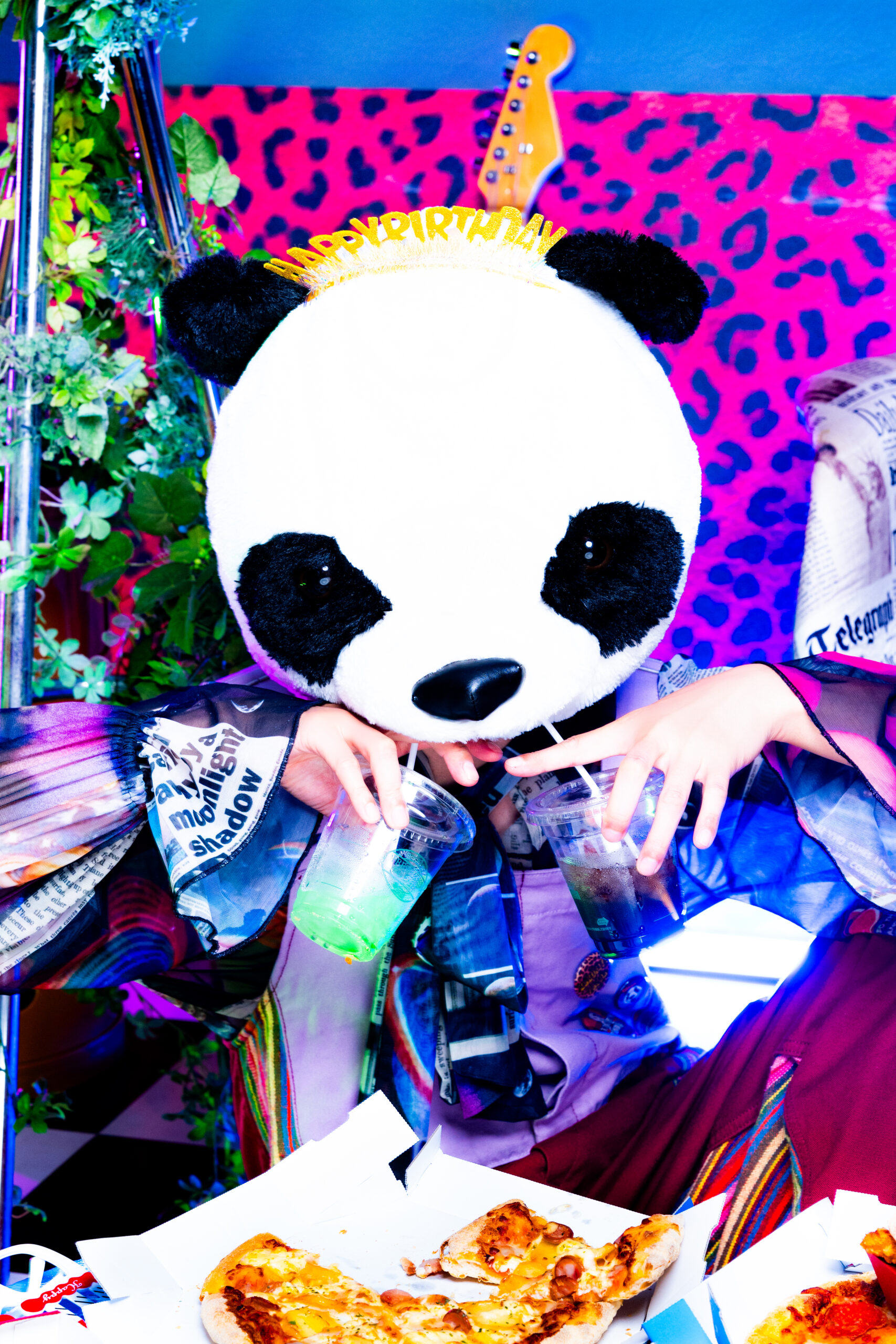 KAKURIYO PANDA